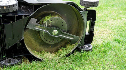 blade in lawn mower machine cut green