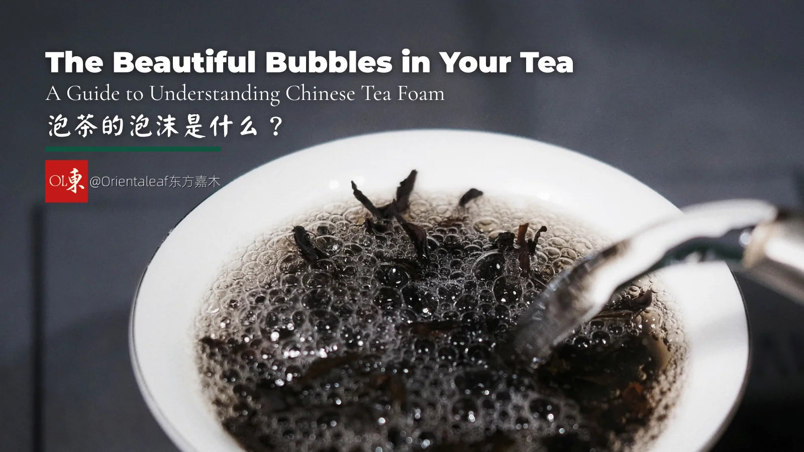 Close-up of hot water poured into dark tea leaves in a white gaiwan, immediately creating rich tea foam and bubbles. The image features the title 'The Beautiful Bubbles in Your Tea'