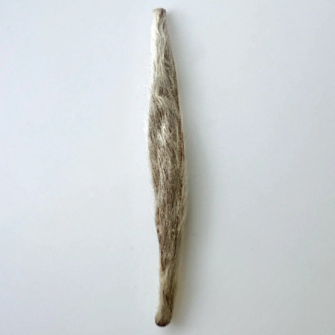 Silver Needle (Bai Hao Yinzhen)