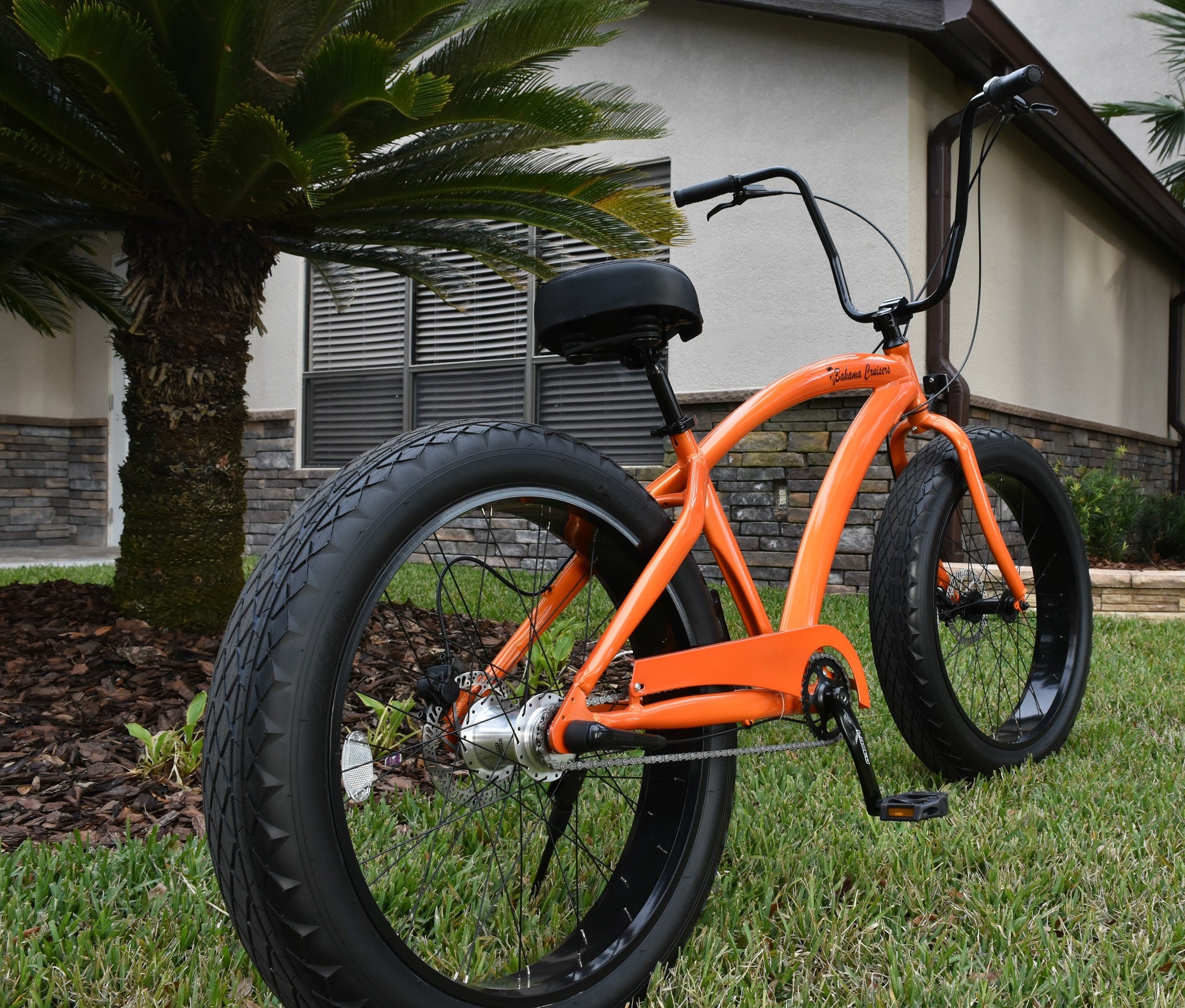 Fat tire beach cruiser