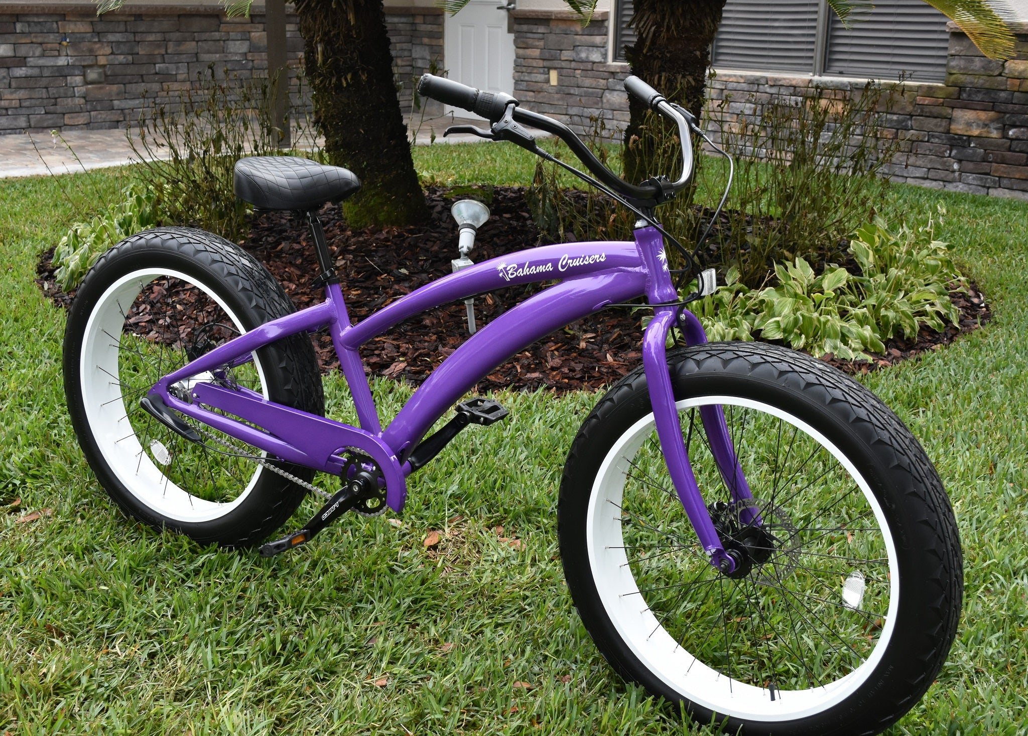 purple fat tire bike