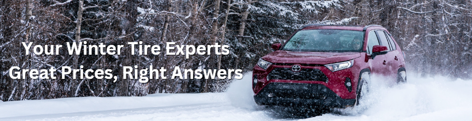 RAV4 driving through snow
