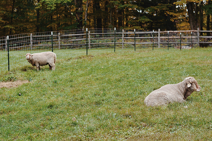 the outlier inn sheep farm - glamping airbnb catskills upstate ny 