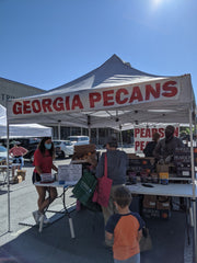 Did you know peaches and pecans are both grown in middle and south Georgia?