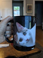 Cat On Mug