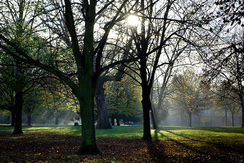 Morden Hall Park | Neat Nutrition. Clean, Simple, No-Nonsense.