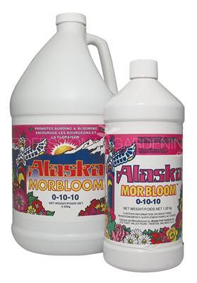 alaska mor-bloom image