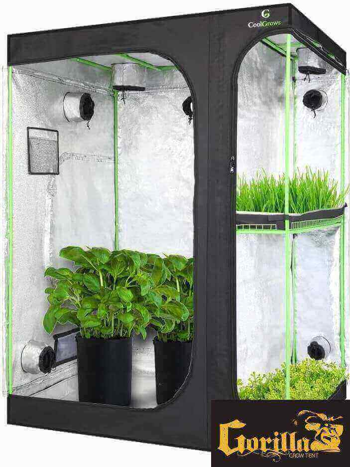 grow tent image