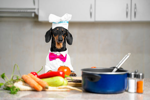 Small dog in a chef's hat at a kitchen counter spread with fresh dog food ingredients