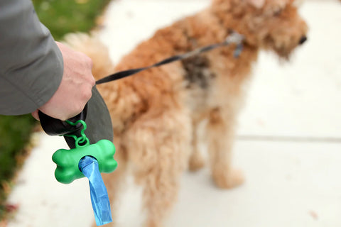 Bone-shaped dog poop bag dispenser attached to a leash being held by a person who is walking their dog.