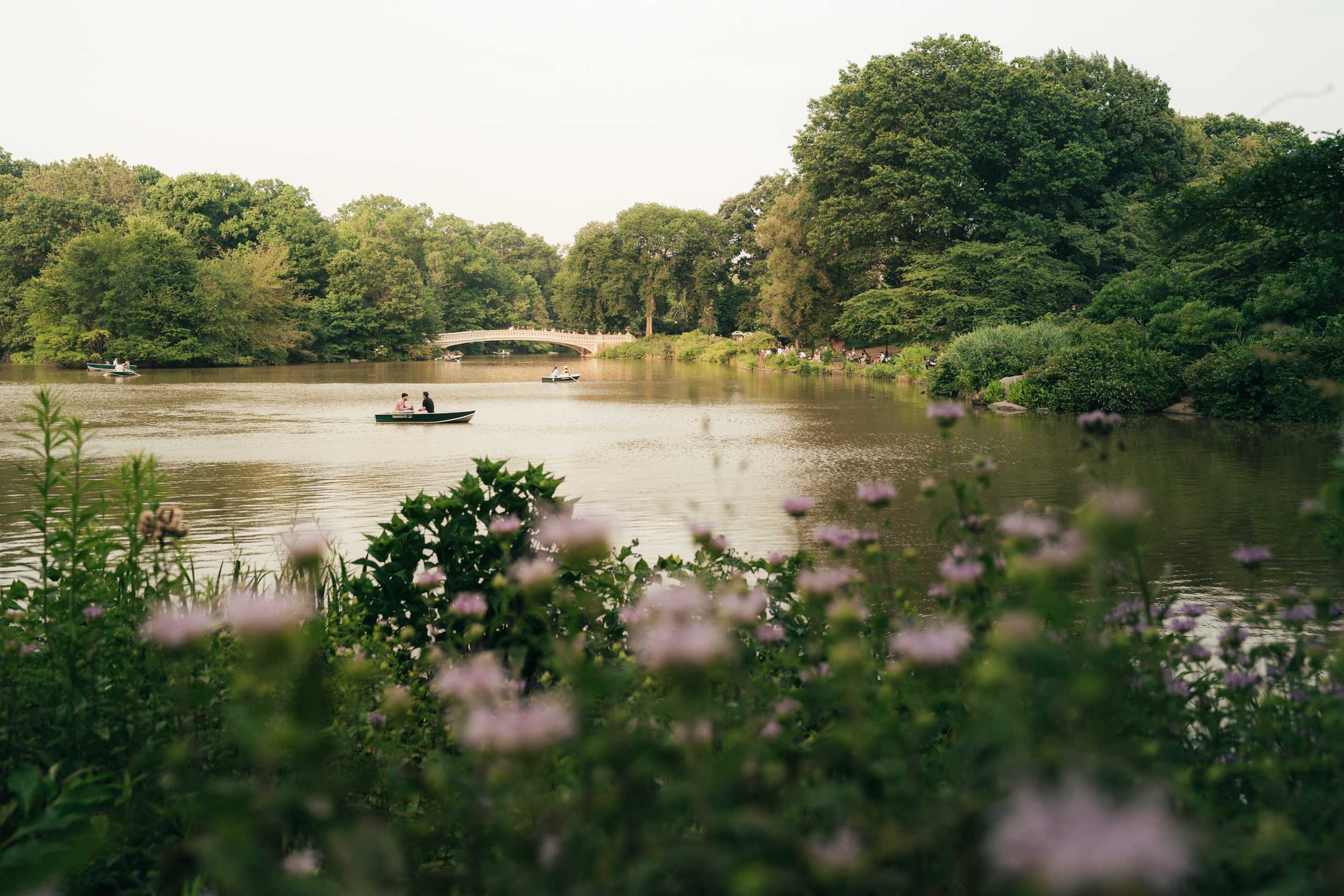 Boat ride in Central Park lake with flowers