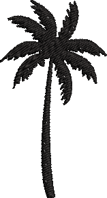 Palm Tree