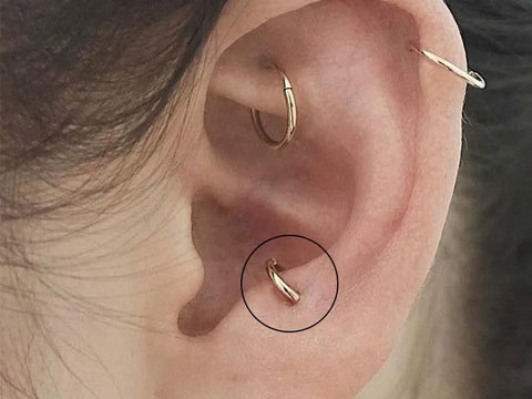 Xỏ vị trí Anti-tragus Piercing