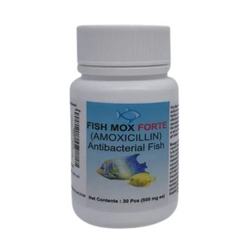 Fish Mox Forte - Amoxicillin 500 mg Capsules (30 Count)