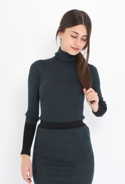 The Classic Turtleneck