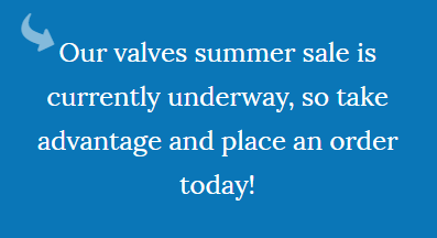 Grab a stainless steel sanitary valve during our summer sale!
