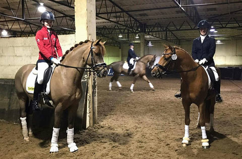 Www Xxxteeens Com - Preparations well under way for the 2018 season - blog by Holly Kersla â€“  EQCLUSIVE LTD