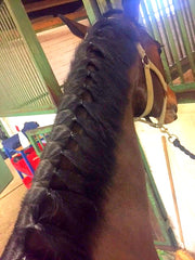 How to plait a mane - blog by international eventing groom Emma Stewart - Eqclusive, eqclusive.com