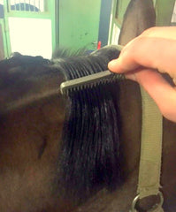 How to plait a mane - blog by international eventing groom Emma Stewart - Eqclusive, eqclusive.com