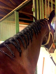 How to plait a mane - blog by international eventing groom Emma Stewart - Eqclusive, eqclusive.com