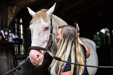 grooming bonding with your horse