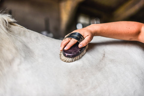 Sweet itch natural horse brushes 