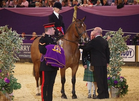 Kirstine Douglas Eqclusive sponsored showing rider and trainer