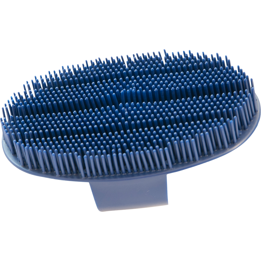 Oval Face Curry comb