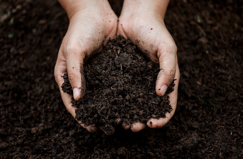 How to Prep Your Soil for Grass Seed