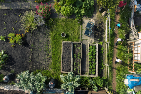 Aerial view of home garden beds