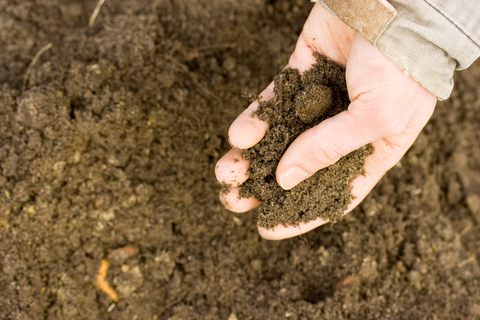 Person holding soil in hand 