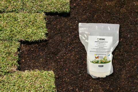 Ammonium sulfate water soluble fertilizer 21-0-0 on top of lawn