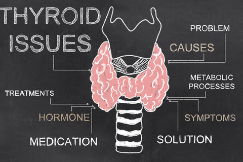 Drawing of a thyroid gland with a list of thyroid issues in the background