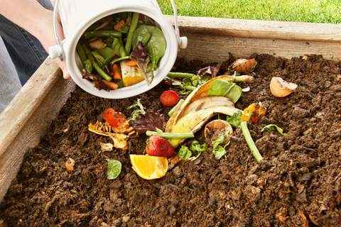 Compost scraps in raised garden bed