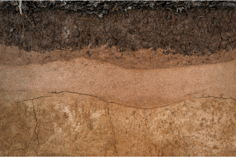 Different types of clay soil