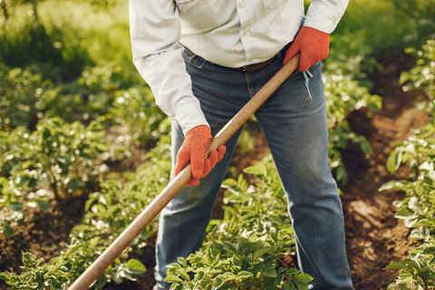 Man in white long sleeve button down shirt and blue jeans raking garden