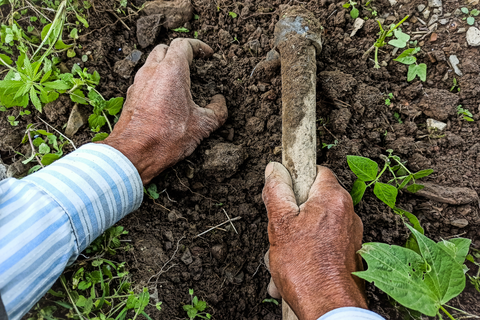 Person tilling clay soil