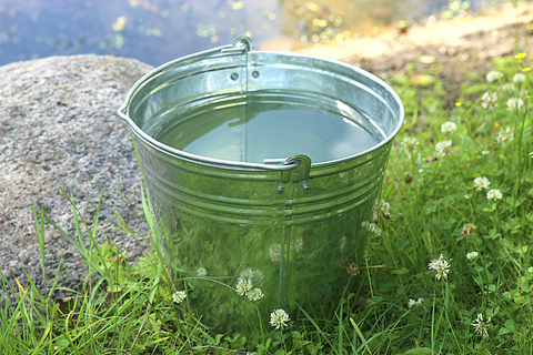 Silver water bucket  on green grass next to rock