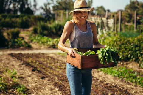 Woman in fedora hat gray tank top and blue jeans holding harvesting box in vegetable garden