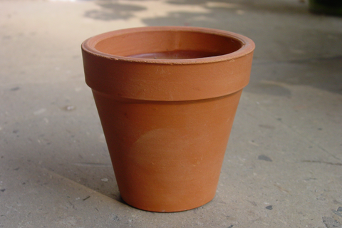 Terracotta pot for mums