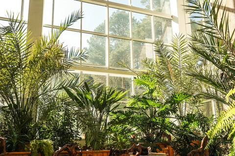 Indoor potted palm trees next to large window in living room