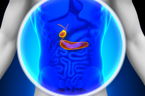 Gallbladder in body