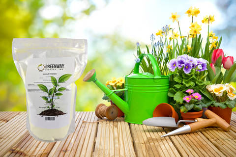 Greenway biotech yellow sulfur powder