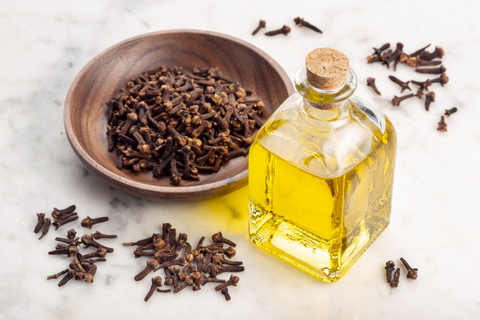 Clove essential oil