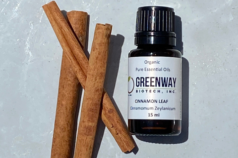 Greenway biotech organic cinnamon leaf essential oil next to cinnamon sticks