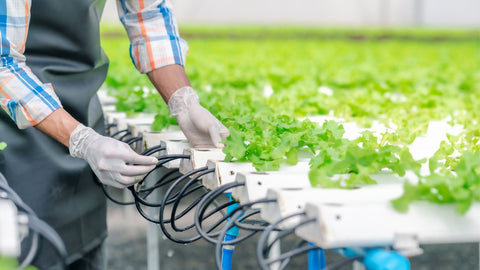 connecting hydroponics system