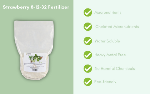 Strawberry Fertilizer 8-12-32 Plus Micronutrients