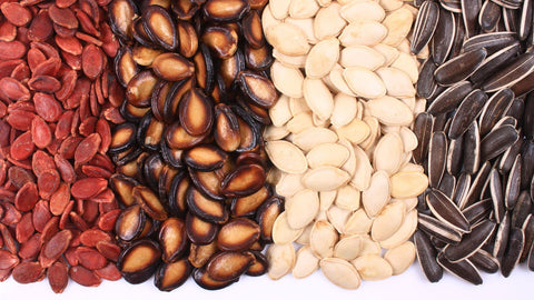 different types of sunflower seeds