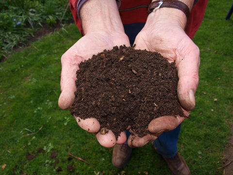 Compost improves soil health