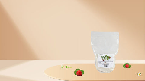 greenway biotech strawberry fertilizer